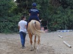 13_Equitazione (3)