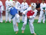 16_Taekwondo (16)