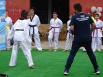 16_Taekwondo (9)